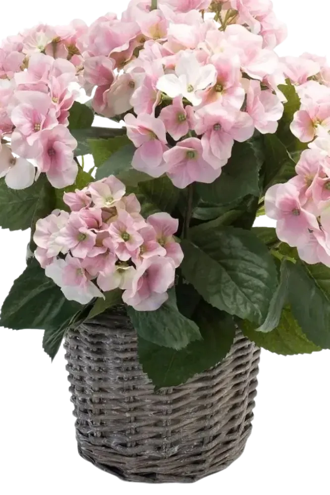 Künstliche Hortensie - Lennard | 45 cm