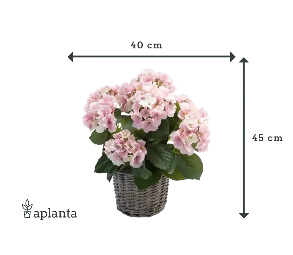 Künstliche Hortensie - Lennard | 45 cm