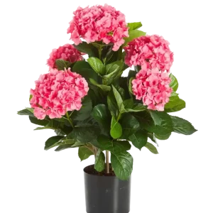 Künstliche Hortensie - Nils | 53 cm
