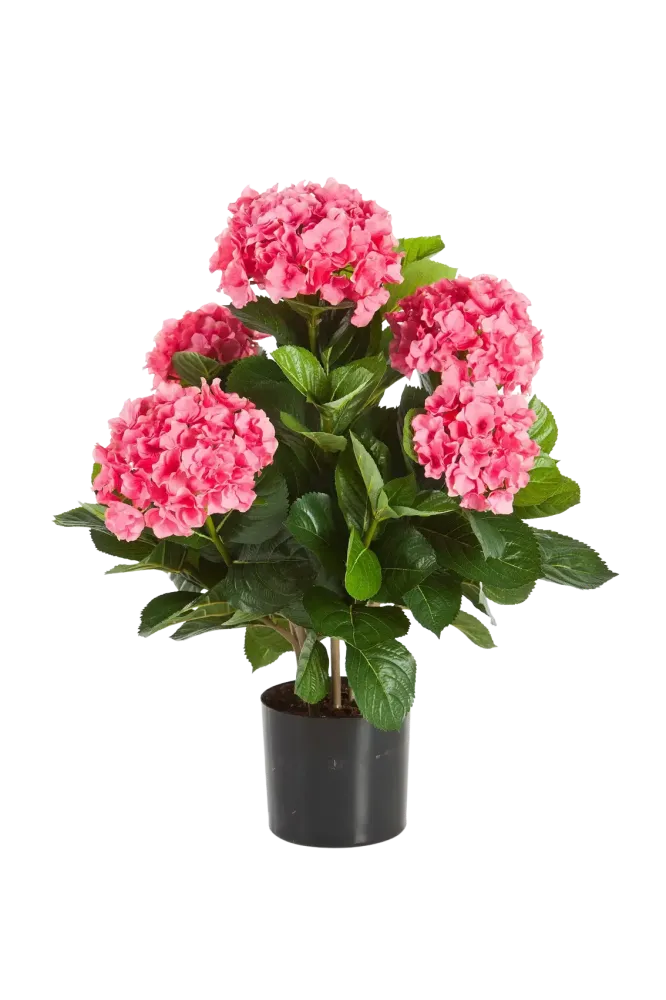 Künstliche Hortensie - Nils | 53 cm