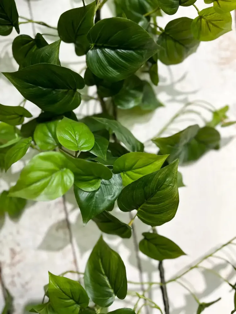 Künstliche Monstera Girlande - Beatrice | 180 cm