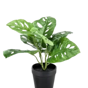 Künstliche Monstera - Jonah | 30 cm