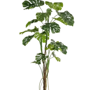 Künstliche Monstera - Mogli | 180 cm