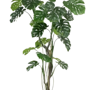 Künstliche Monstera - Mogli | 210 cm