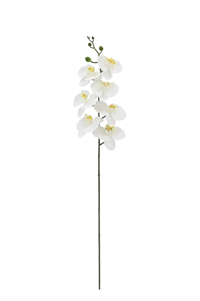 Künstliche Orchidee - Chen Lu | 86 cm