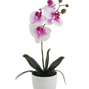 Künstliche Orchidee - Dan | 36 cm
