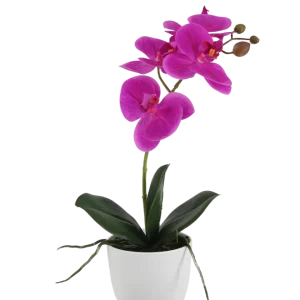 Künstliche Orchidee - Juan | 36 cm