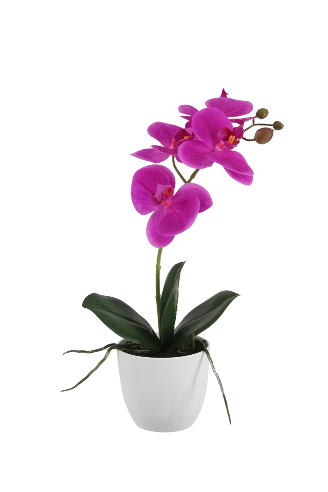 Künstliche Orchidee - Juan | 36 cm