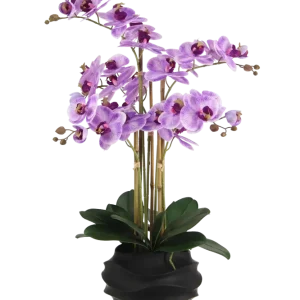 Künstliche Orchidee - Lien | 67 cm