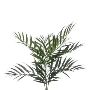 Künstliche Palme - Koa | 60 cm
