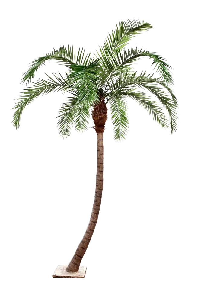 Künstliche Phoenixpalme - Simon | 300 cm