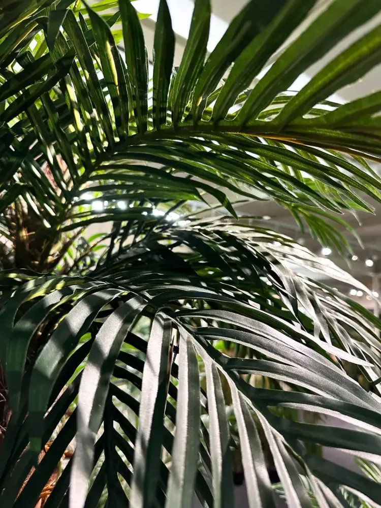 Künstliche Phoenixpalme - Simon | 300 cm