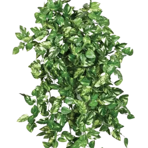 Künstliche Pothos - Emir | 50cm