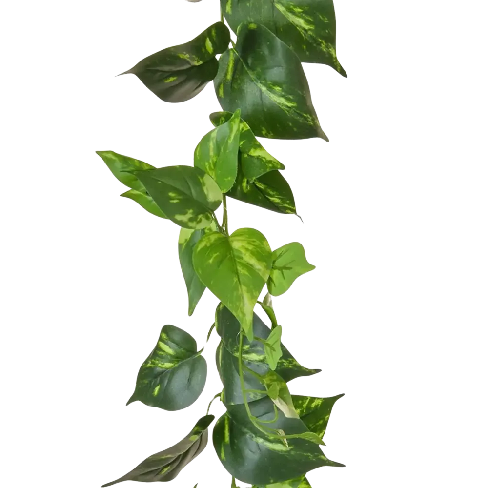 Künstliche Pothos Girlande - Christian | 220 cm