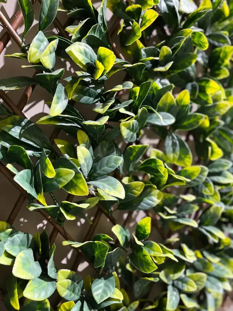 Künstliche Prunus Hecke - Nisa | 135x120 cm