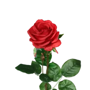 Künstliche Rose - Philipos | 66 cm