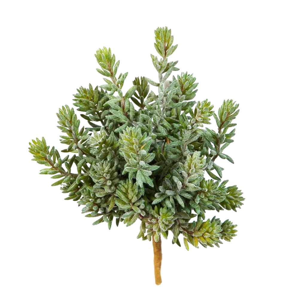 Künstliche Sedum - Helin | 20 cm