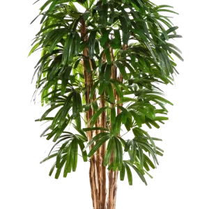 Künstliche Steckenpalme - Nicole | 180 cm
