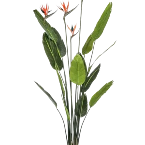 Künstliche Strelitzia - Christian | 150 cm