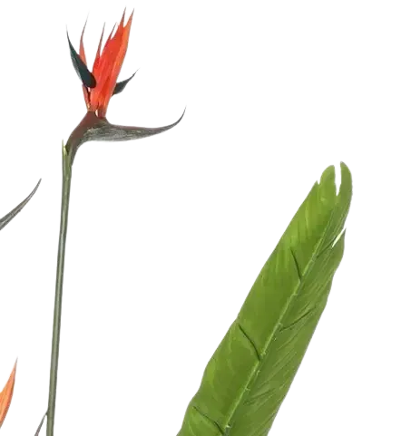 Künstliche Strelitzia - Christian | 150 cm