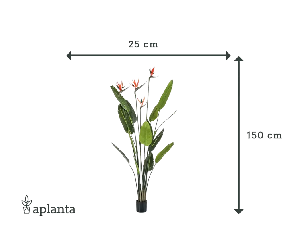 Künstliche Strelitzia - Christian | 150 cm