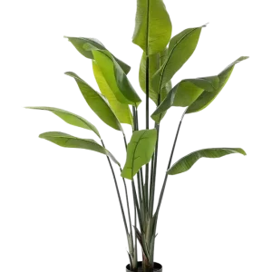 Künstliche Strelitzia - Clemens | 150 cm