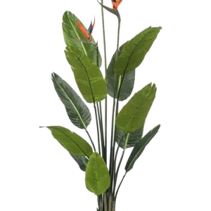 Künstliche Strelitzia - Constantin | 120 cm
