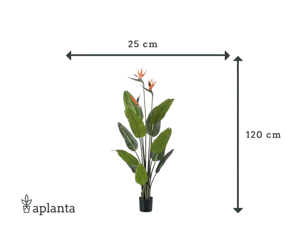 Künstliche Strelitzia - Constantin | 120 cm