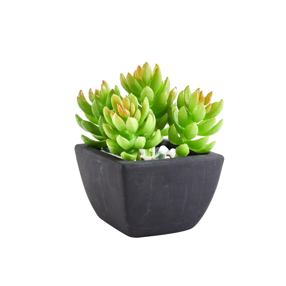 Künstliche Sukkulente – Nepomuk | 14 cm