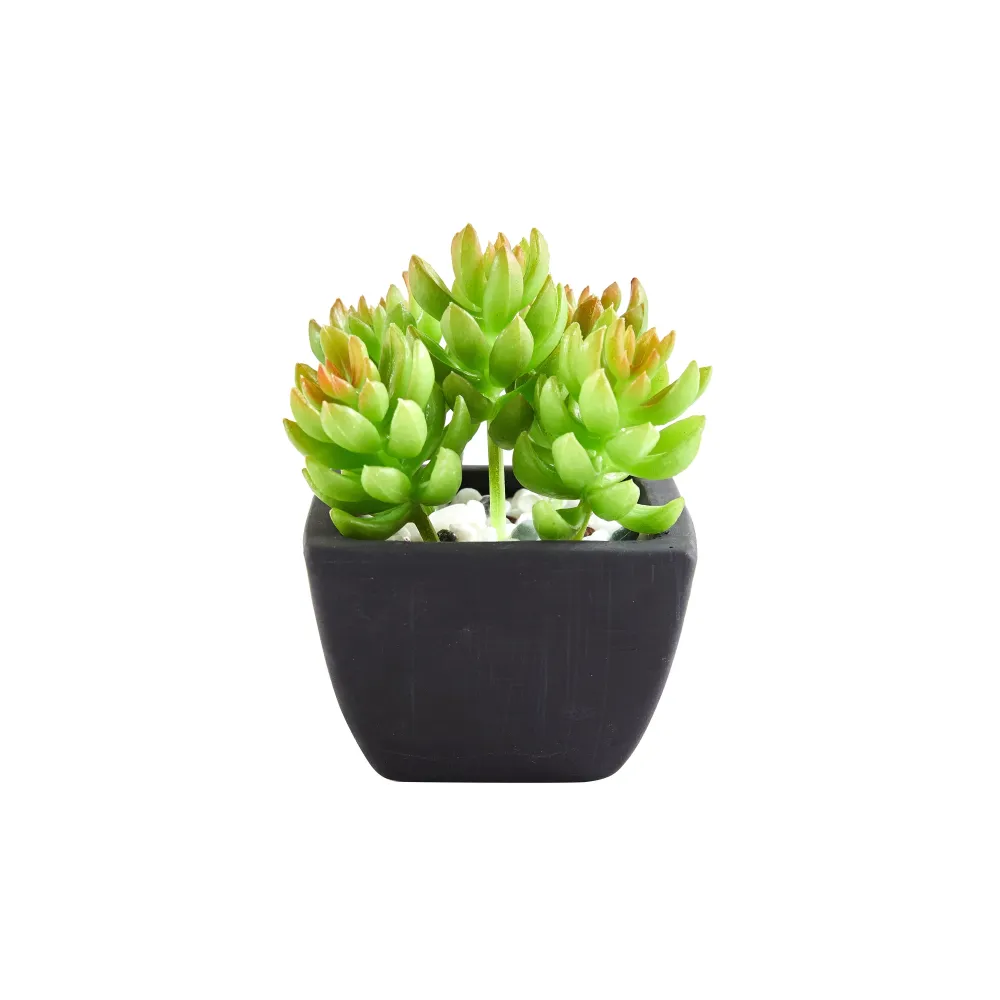 Künstliche Sukkulente – Nepomuk | 14 cm
