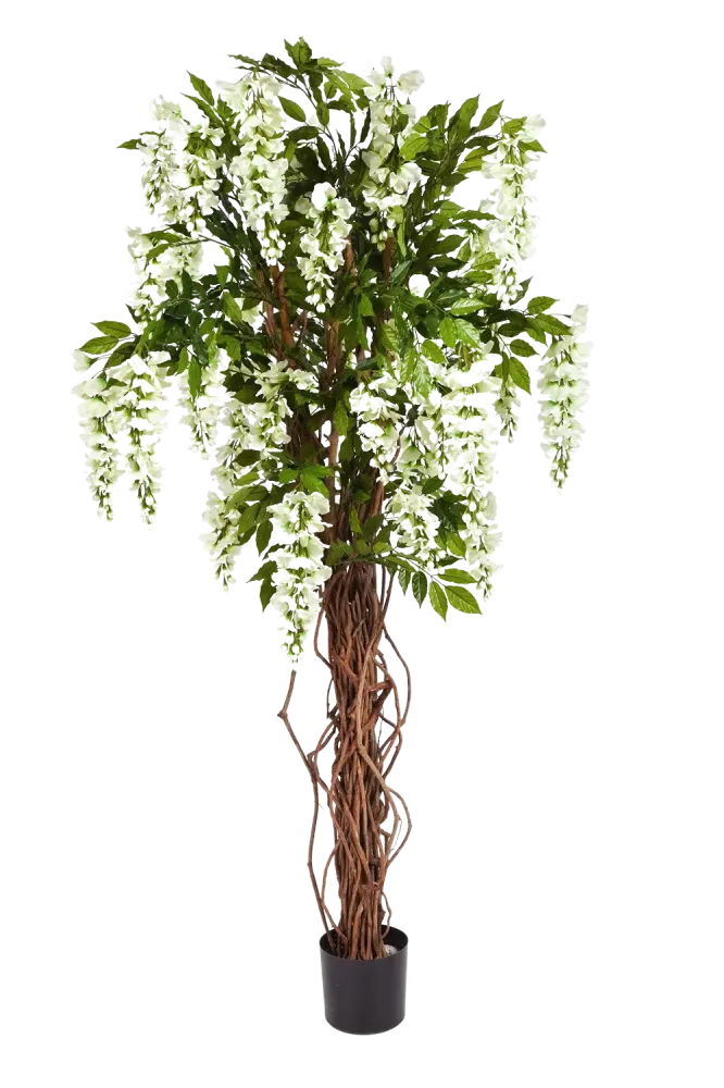 Künstliche Wisteria Liana - Ria | 180 cm