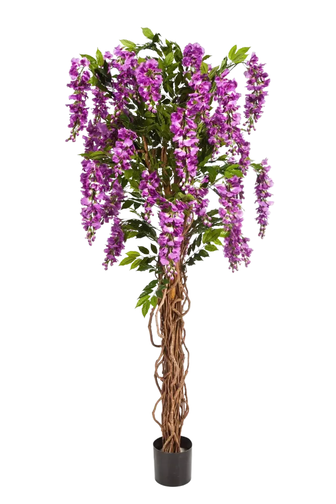 Künstliche Wisteria Liana - Rita | 180 cm