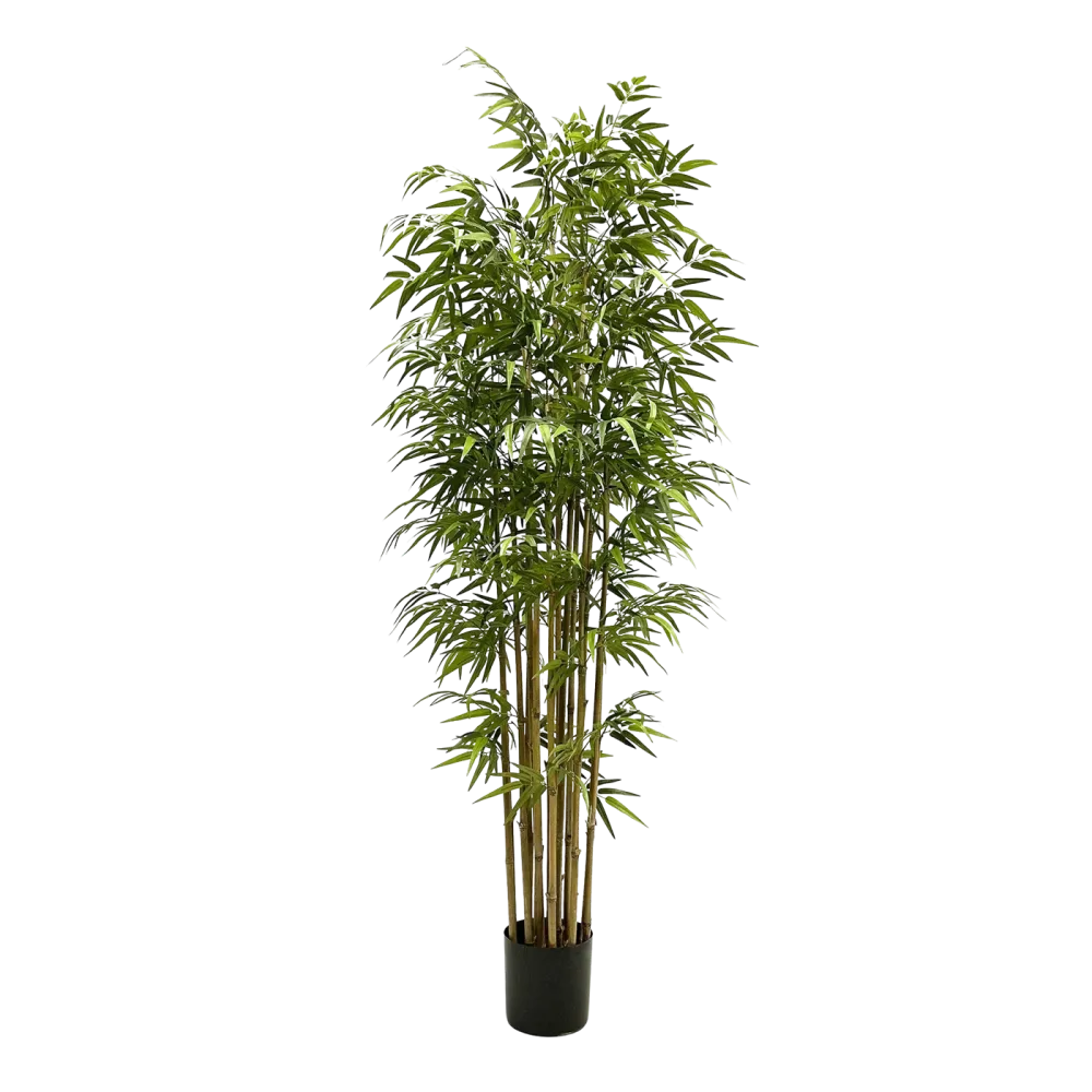 Künstlicher Bambus - Belina | 210 cm