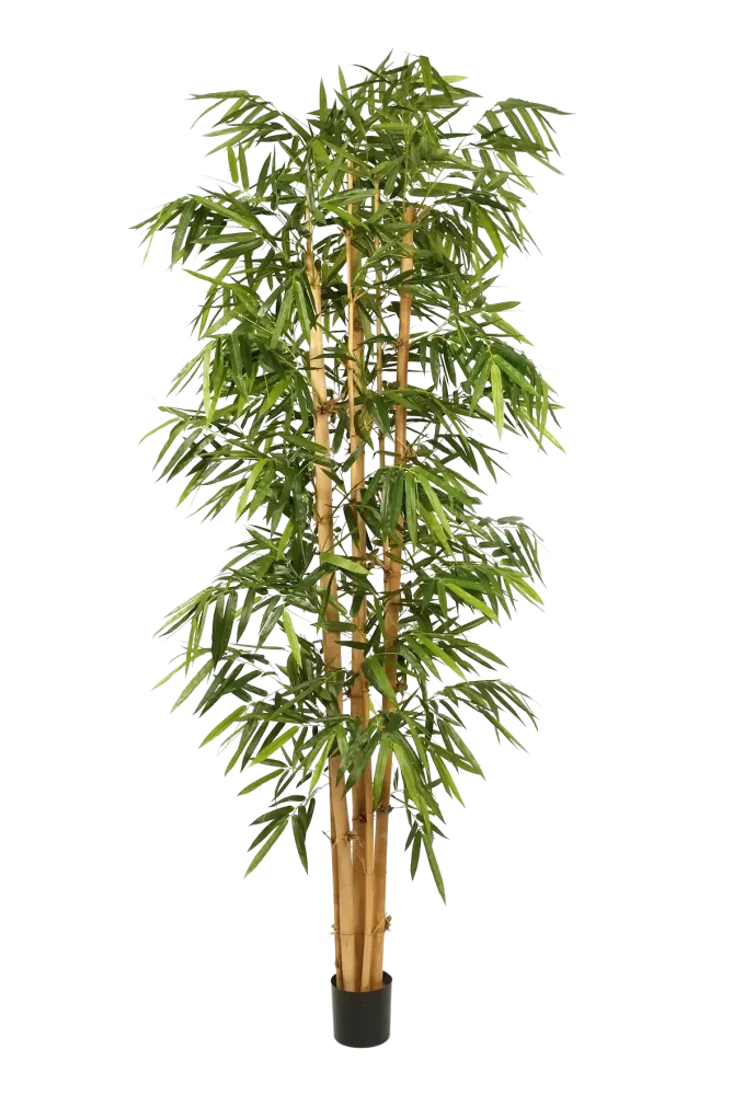 Künstlicher Bambus – Kenai | 210 cm