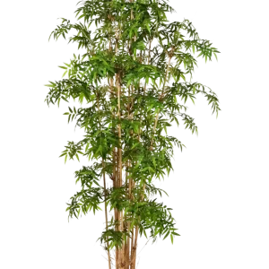 Künstlicher Bambus - Lucia | 230 cm