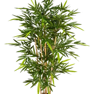 Künstlicher Bambus - Melina | 270 cm