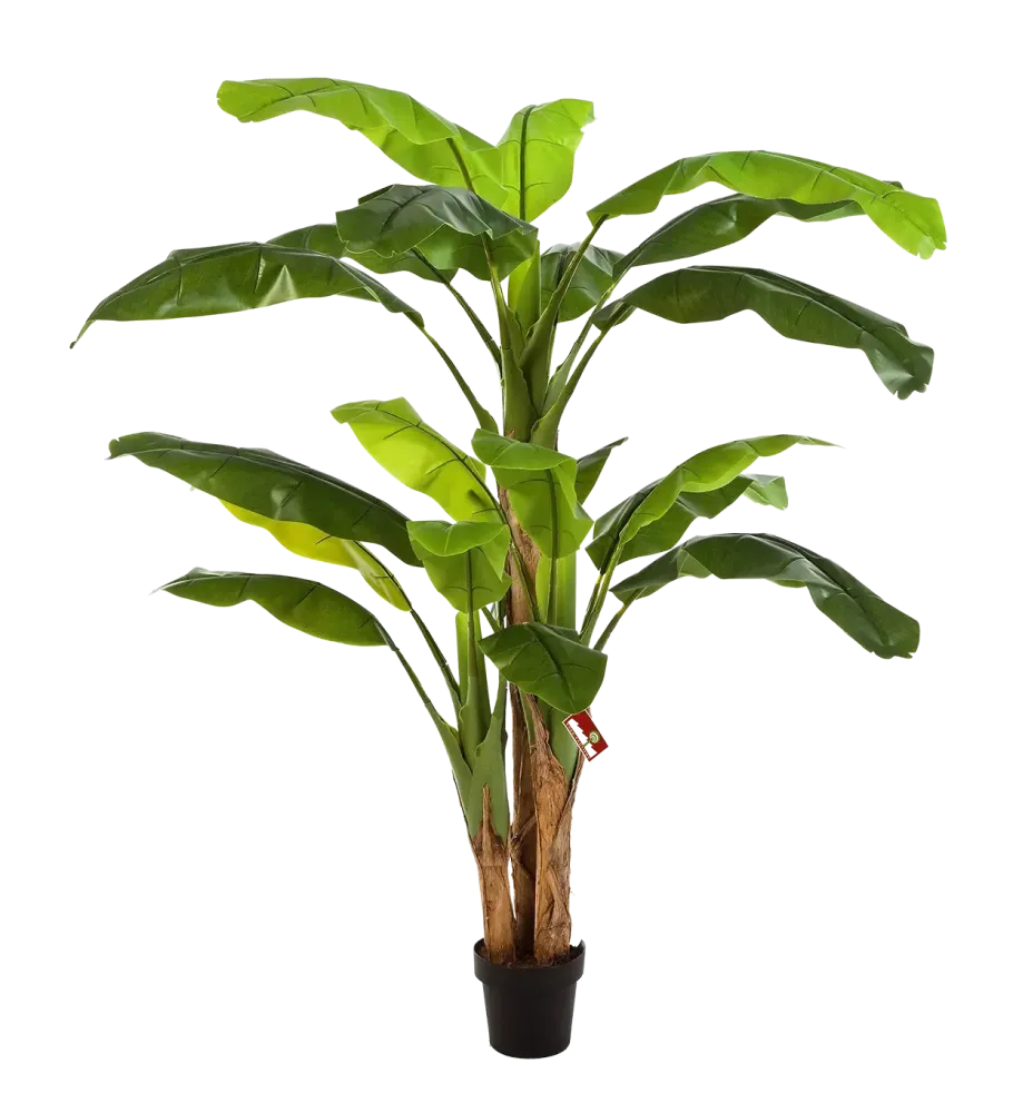 Künstlicher Bananenbaum - Pauline | 180 cm