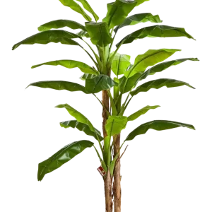 Künstlicher Bananenbaum - Pauline | 240 cm
