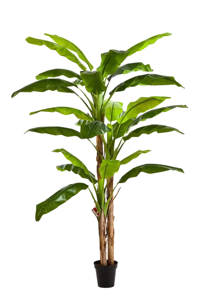 Künstlicher Bananenbaum - Pauline | 240 cm
