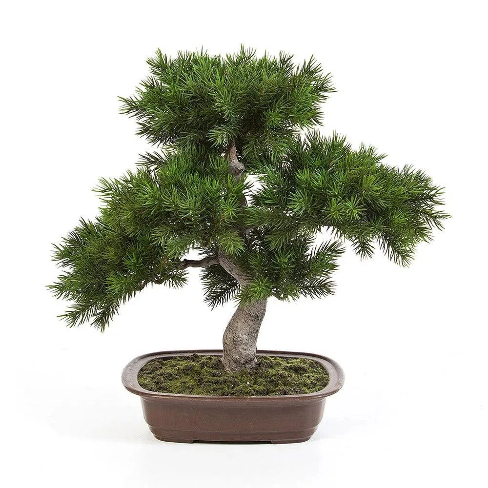 Künstlicher Bonsai - Rudi, 50 cm