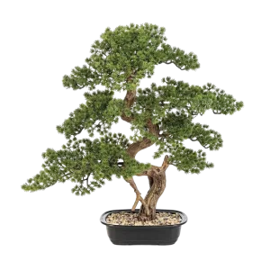 Künstlicher Bonsai - Rupert | 68 cm