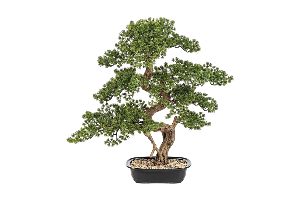 Künstlicher Bonsai - Rupert | 68 cm