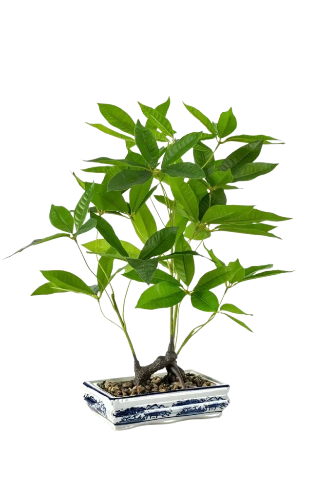 Künstlicher Bonsai - Sally | 62 cm