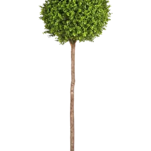 Künstlicher Buchsbaum - Rayan | 170 cm