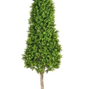 Künstlicher Buchsbaum - Rene | 170 cm