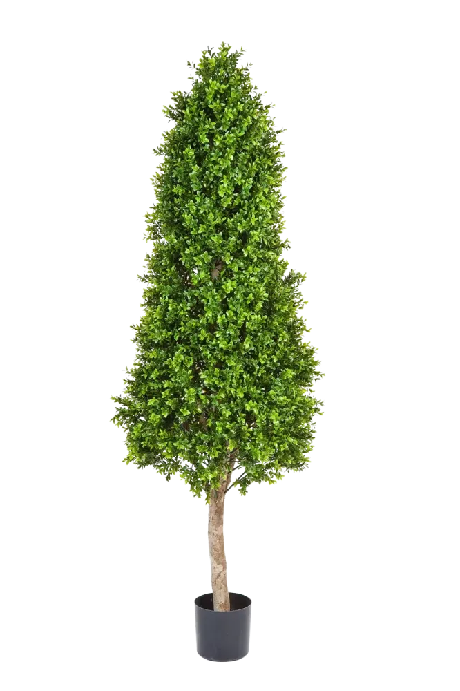 Künstlicher Buchsbaum - Rene | 170 cm