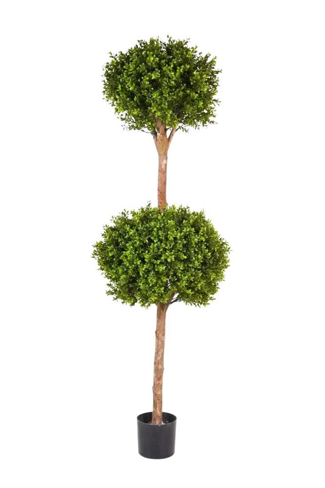 Künstlicher Buchsbaum - Ruben | 165 cm