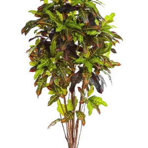 Künstlicher Croton - Ornella | 180 cm