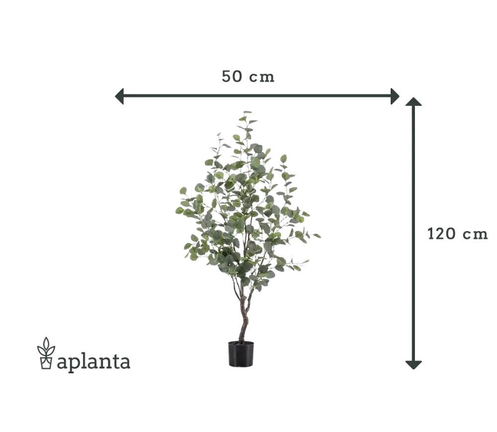 Künstlicher Eucalyptus Baum - Christopher | 120 cm