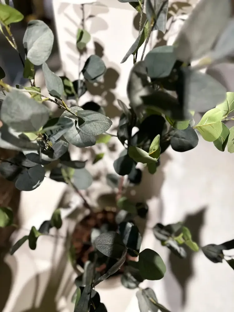 Künstlicher Eucalyptus Baum - Christopher | 120 cm